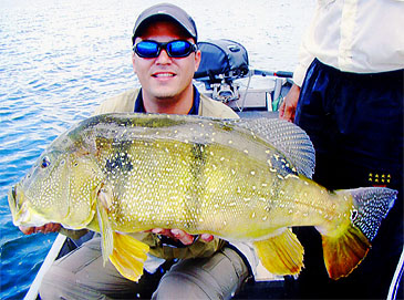 Record photograph for Cichla pinima